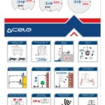 SCHEDA CELA DT 25-2_page-0001